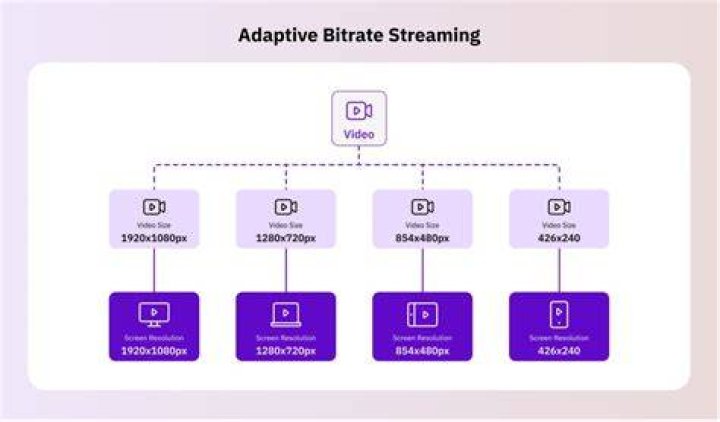 Adaptive bitrate streaming video quality based on network