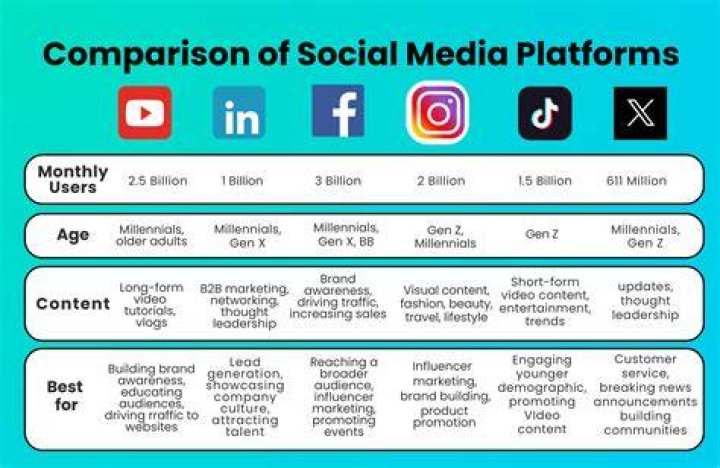 Comparison between niche and mainstream adult video platforms
