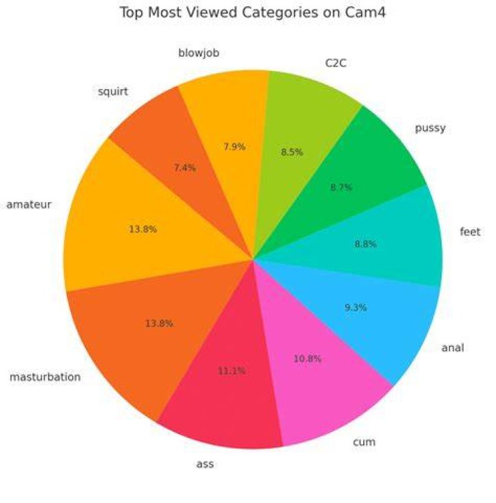 Niche adult video platform with accurate tags and categories