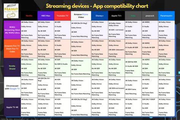 Browser compatibility for video streaming across devices