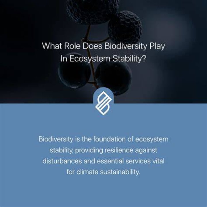 Cam discovery ecosystem showing directory and aggregator tools