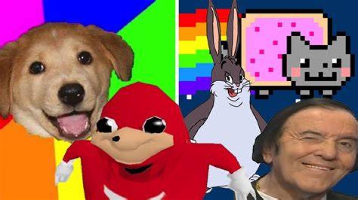 Categories of memes and videos on DropMMS