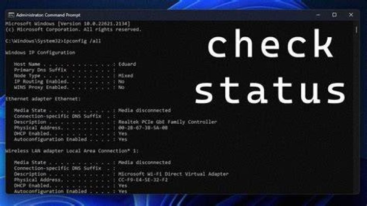 Checking HiAnime server status online
