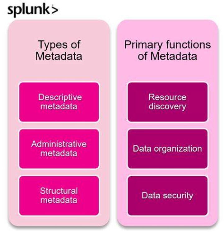 Content vault digital archive metadata organization