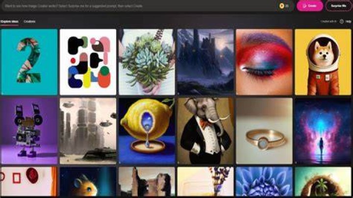 Types of creator content available in archives including images and videos