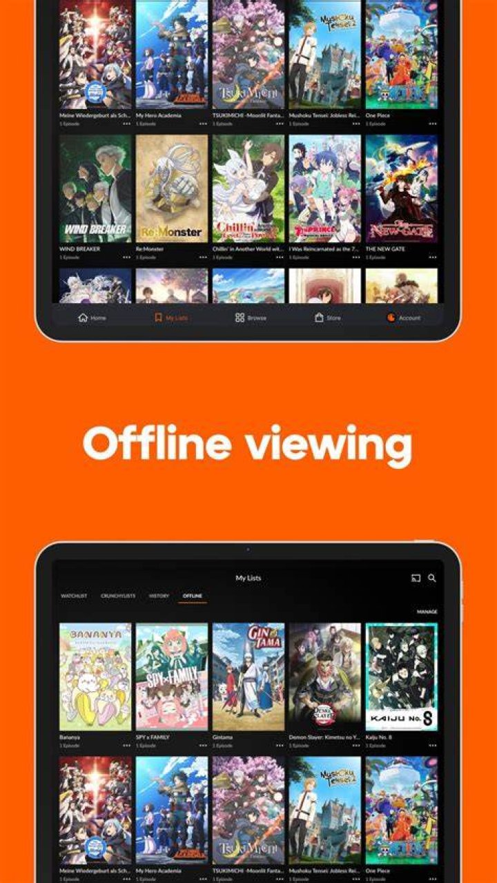 Crunchyroll Anime Streaming Platform Overview