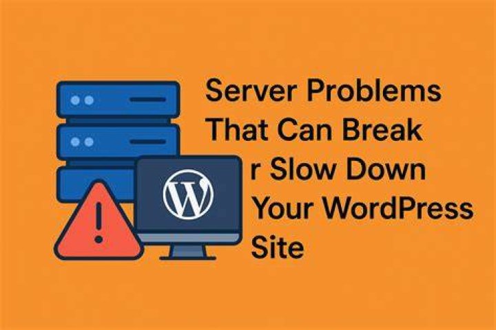 Dealing with Tubidy Server Issues and Downtime