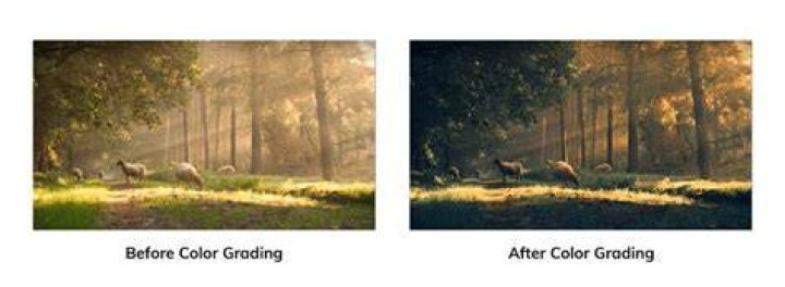 Post-processing techniques for deepfake video quality enhancement