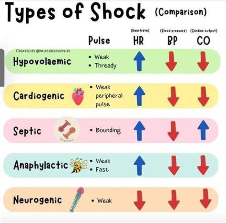 Differences between DropMMS and shock content video platforms