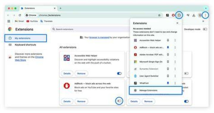 Disable browser extensions ad blocker privacy settings