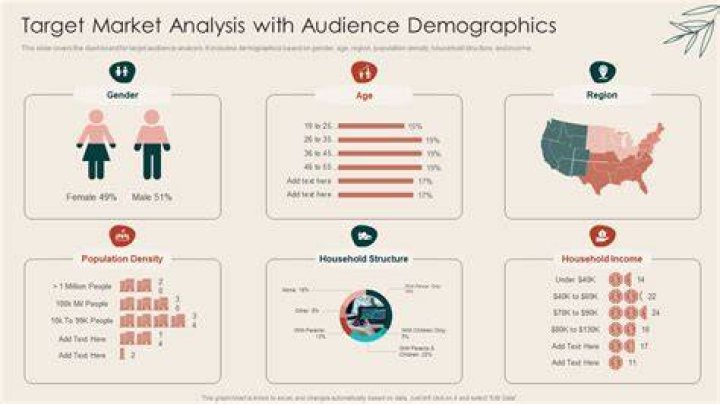 DropMMS audience demographics including India and South Asian users
