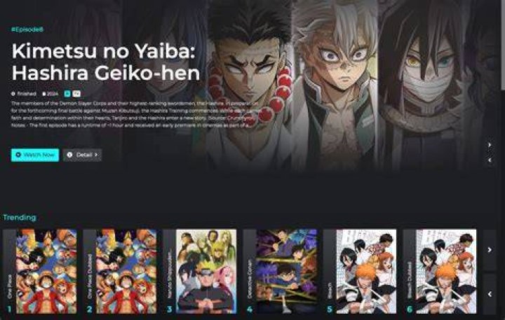 HiAnime subbed and dubbed anime options for global viewers