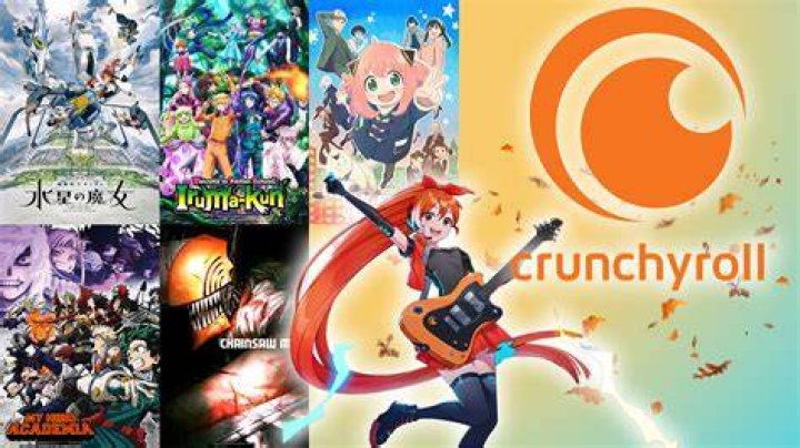 HiAnime vs Crunchyroll Sub and Dub Options