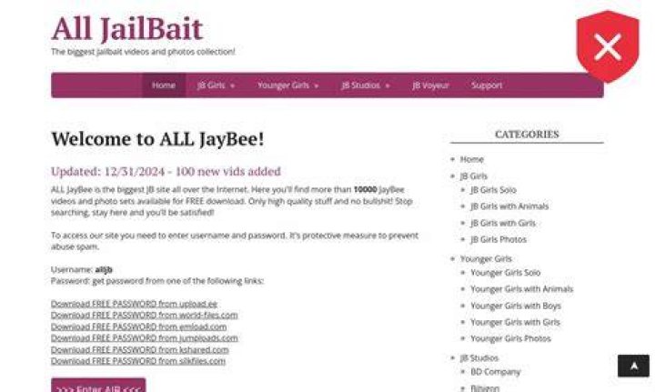 Step-by-step guide to opening leaked galleries on alljb.fans
