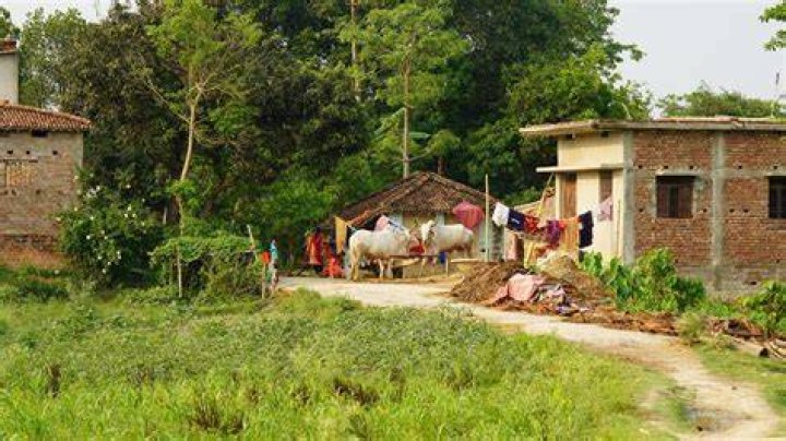 Indian village rural desi video