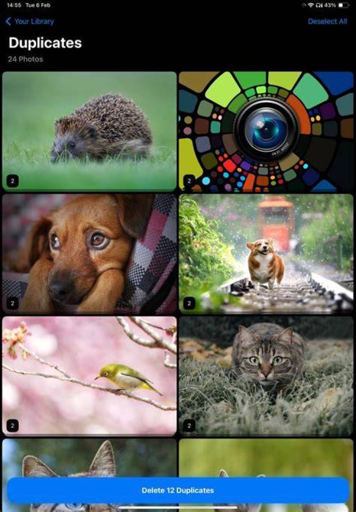 Mobile HD photo viewing experience
