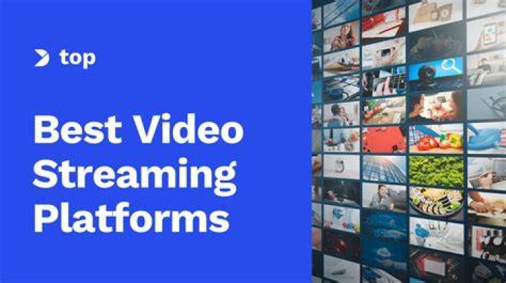Online hentai streaming platform with built-in HD video player