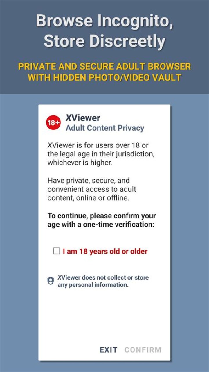Online privacy security adult content browsing