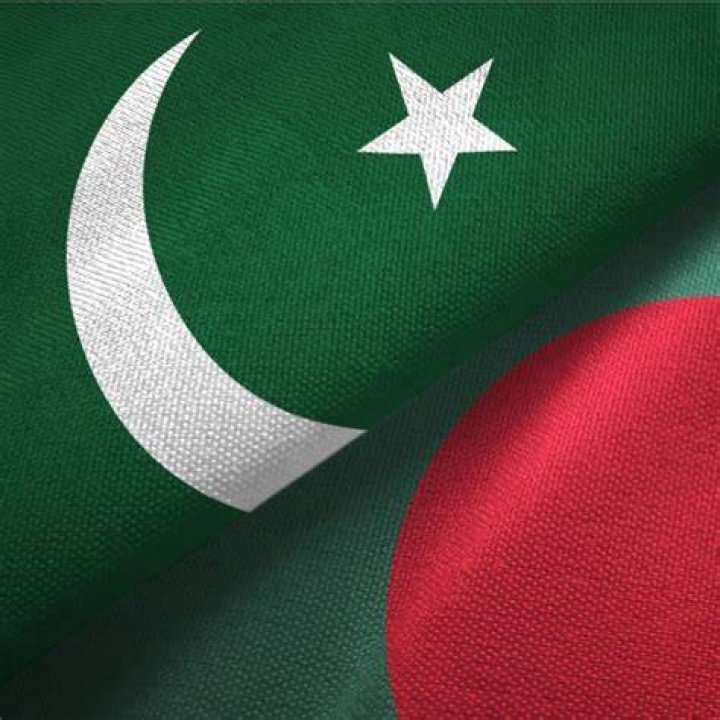 Pakistani and Bangladeshi desi video content