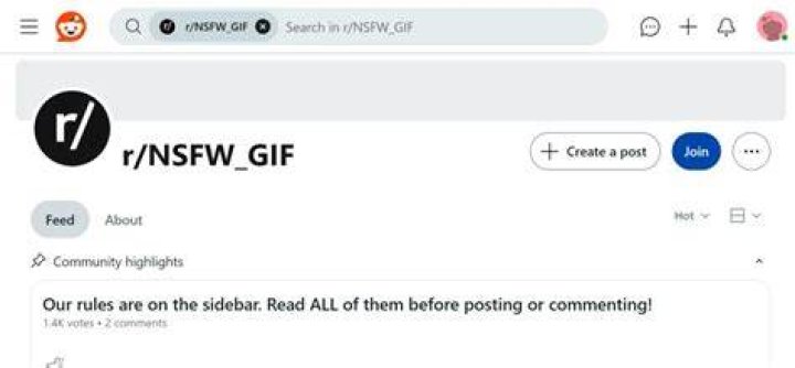 RedGIFs NSFW animated GIF hosting platform